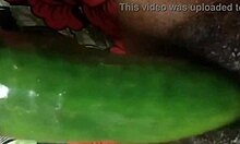 Cock hungry ebony slave gets a cucumber fuck and squirts on webcam