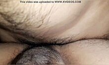 סרטון חובבני של גברים מקסיקנים עם חוויה מינית אינטנסיבית